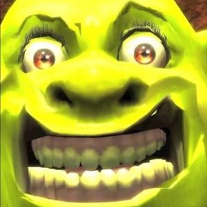 Meet your Posher, Talyn